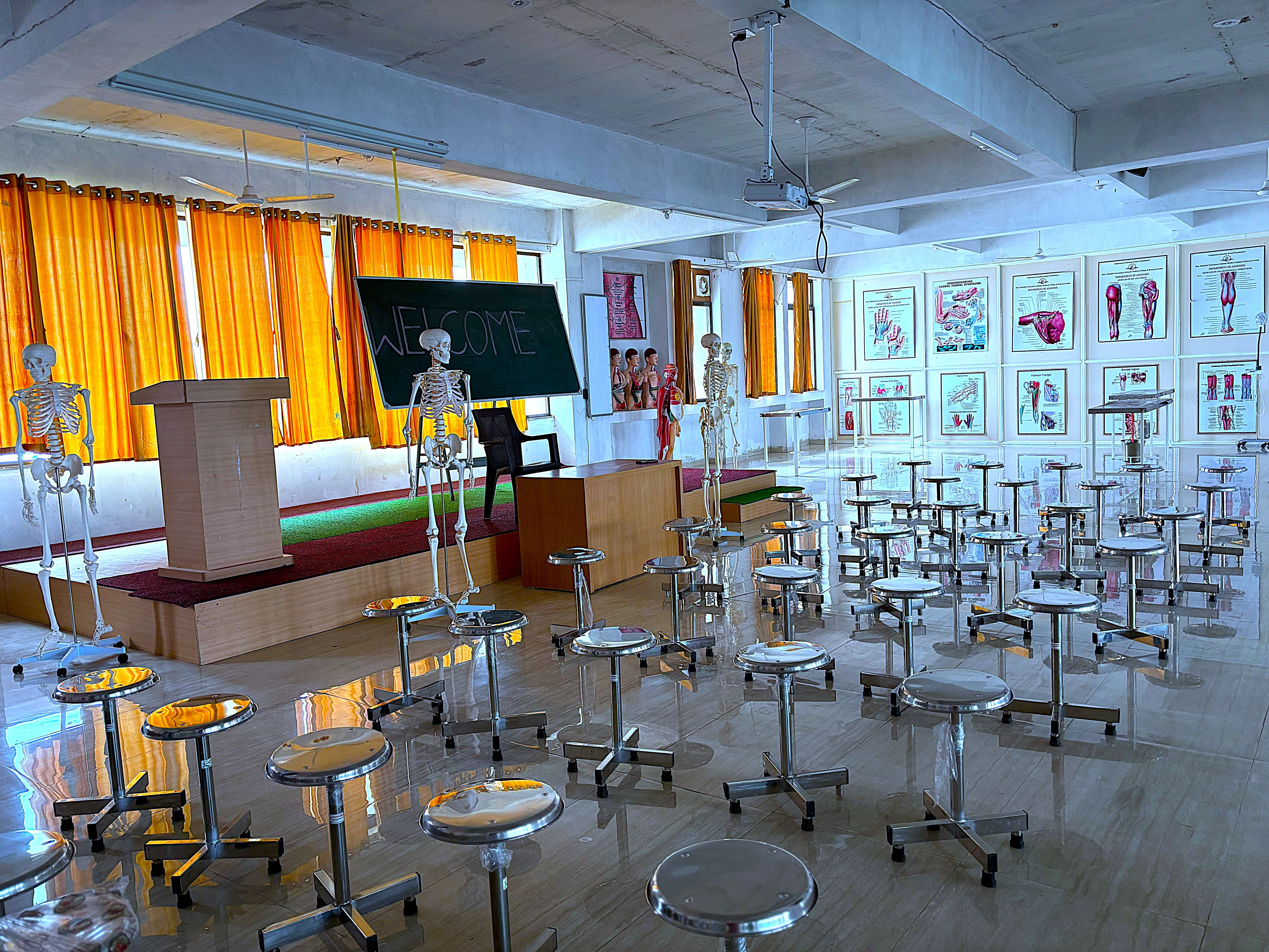 Anatomy Gallery